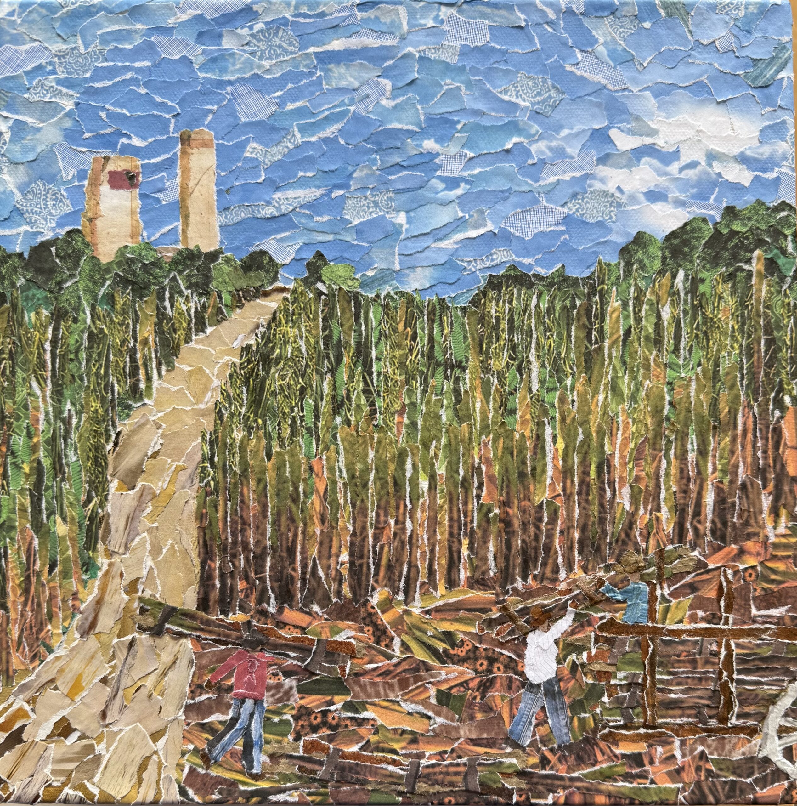 Harvesting Sugar Cane Lynch 2025